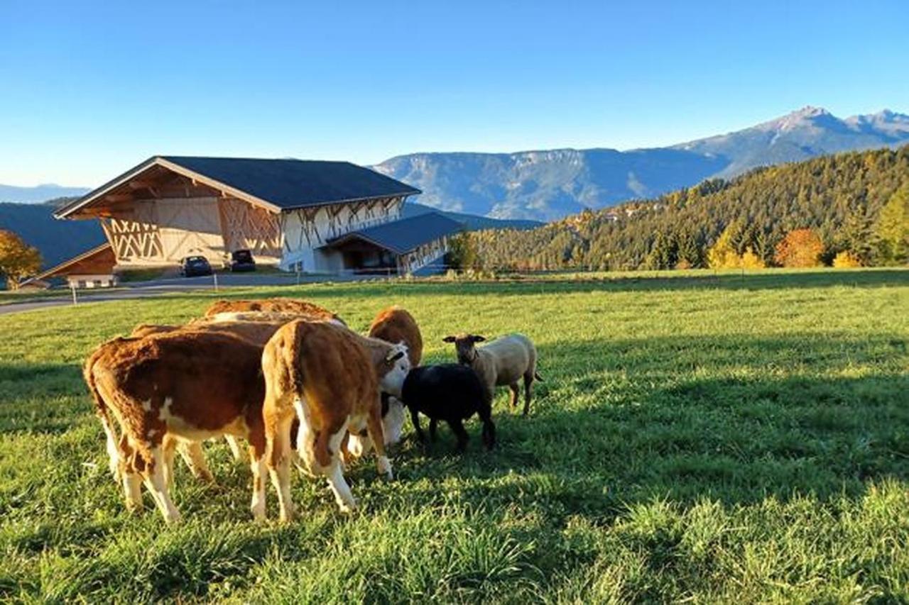 Haughof Apartement Laerchenweide Verano エクステリア 写真